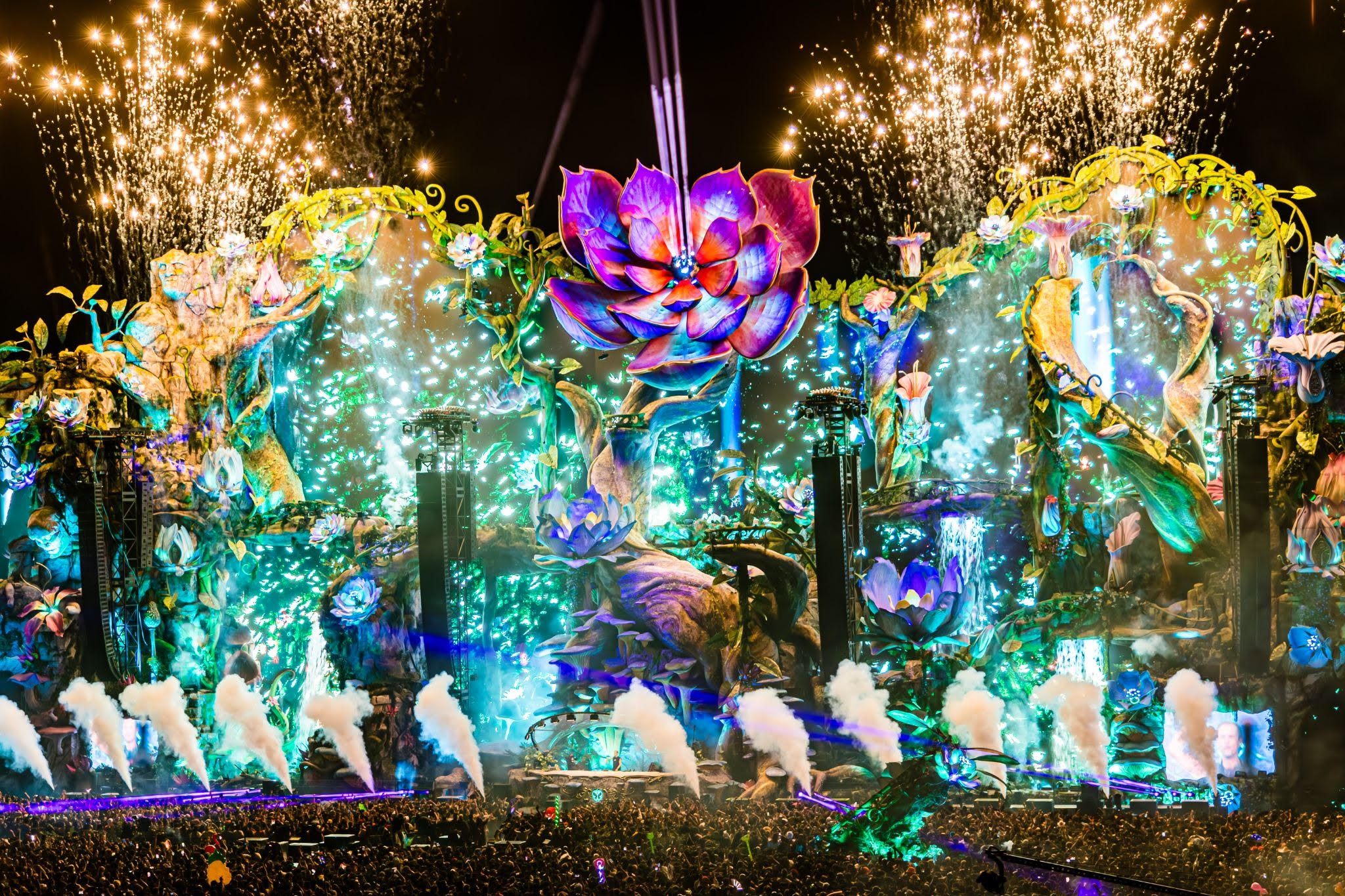 SafeSpace e Tomorrowland Brasil reforçam a importância da segurança psicológica em eventos de grande porte